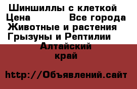 Шиншиллы с клеткой › Цена ­ 8 000 - Все города Животные и растения » Грызуны и Рептилии   . Алтайский край